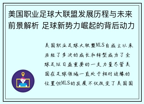 美国职业足球大联盟发展历程与未来前景解析 足球新势力崛起的背后动力 美国职业足球大联盟发展历程与未来前景解析 足球新势力崛起的背后动力